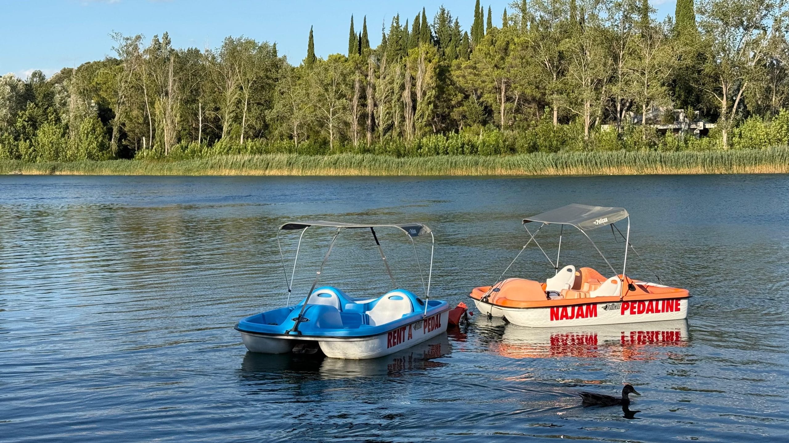 Pedalina Baćinska jezera / Pedal boat Bacina Lakes
